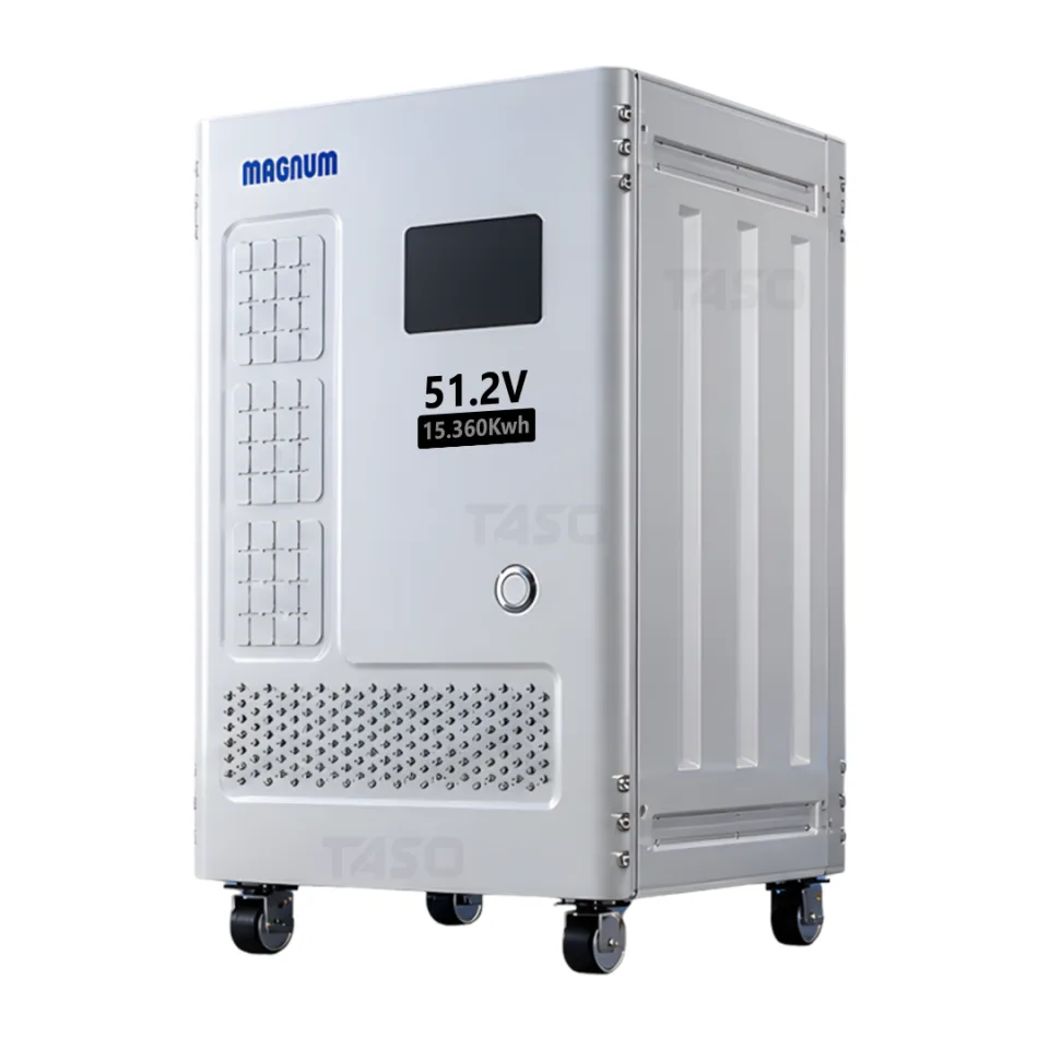 Magnum: Smart Battery LifePO4 (15.360KWH)